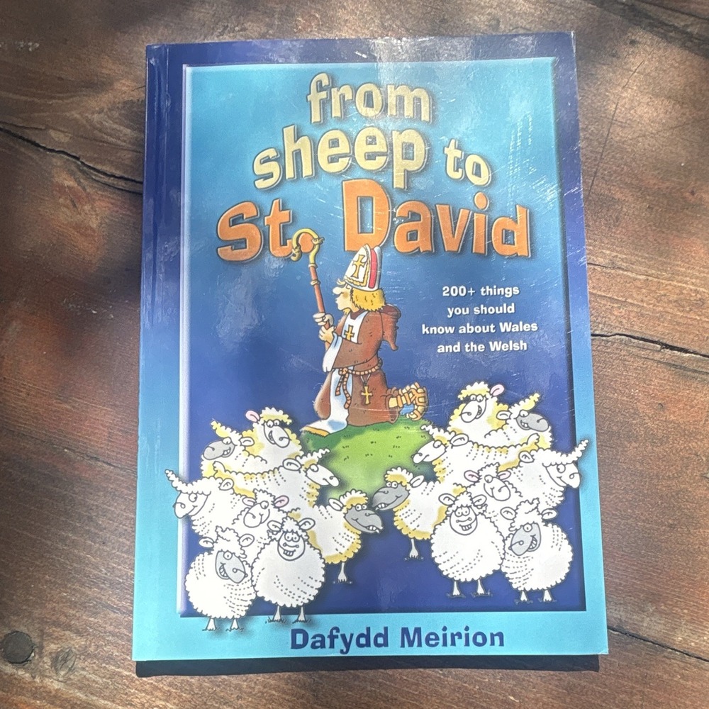From Sheep to St. David Dafydd Meirion Paperback Llais Publications Wales